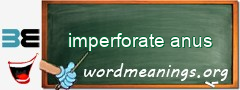WordMeaning blackboard for imperforate anus